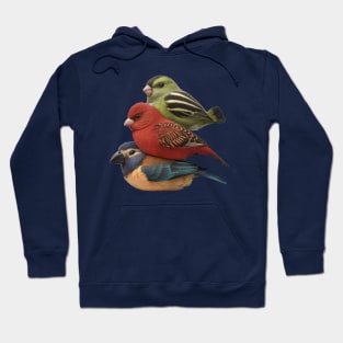 3 cute colored birds Hoodie